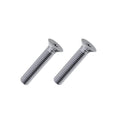 30mm Screws M8-T40 in silver on a white background.