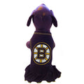 Boston Bruins Ice Girl Dog Dress