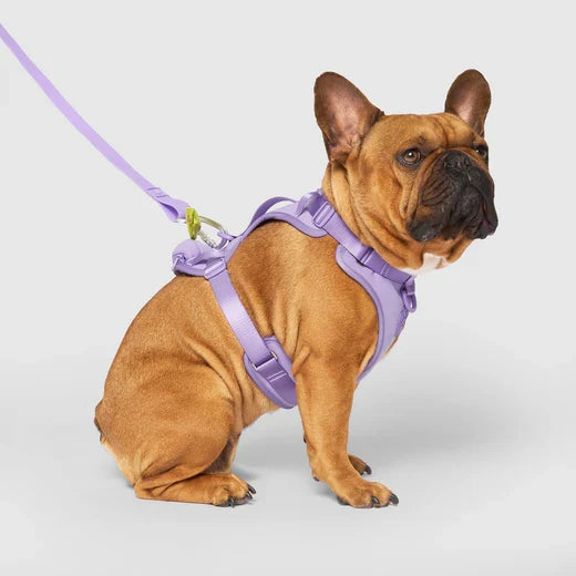 Canada Pooch Neoprene Harness Lavender