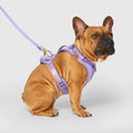 Canada Pooch Neoprene Harness Lavender