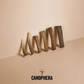 Canophera Red Deer Whole Antler Chew