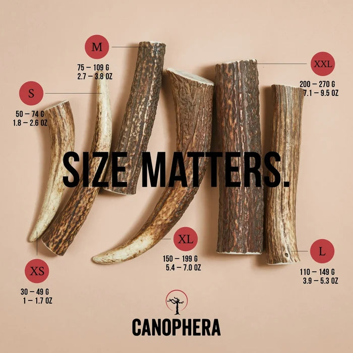 Canophera Red Deer Whole Antler Chew