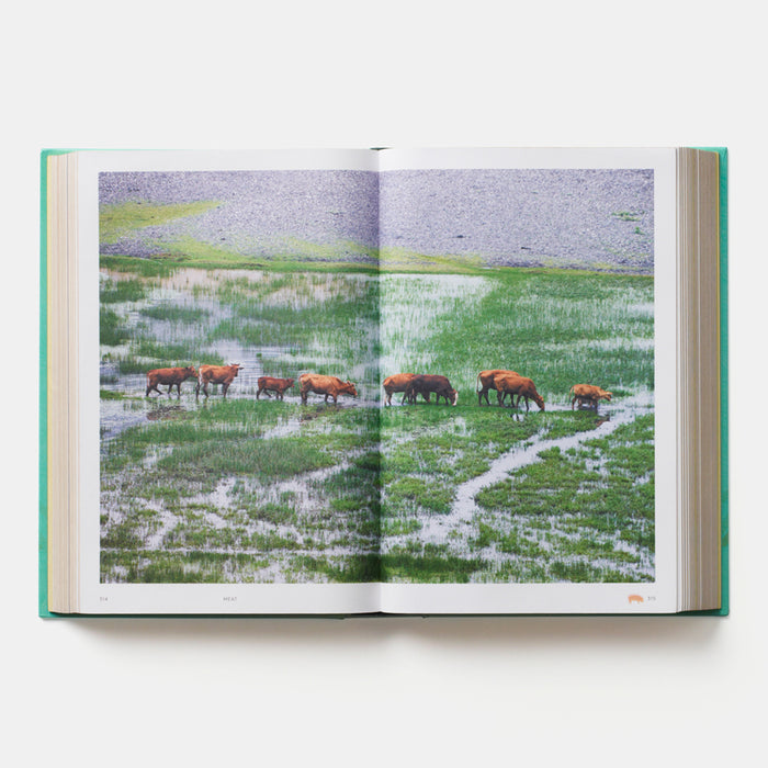 China: The Cookbook
