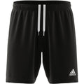 Entrada 22 Shorts (H57504) adidas Apparel Teamwear 4110 Adidas