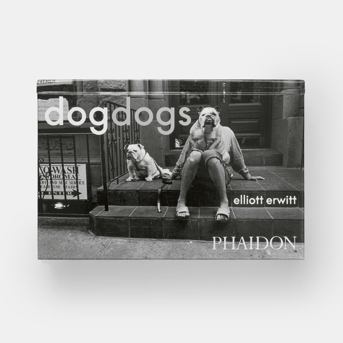 DogDogs