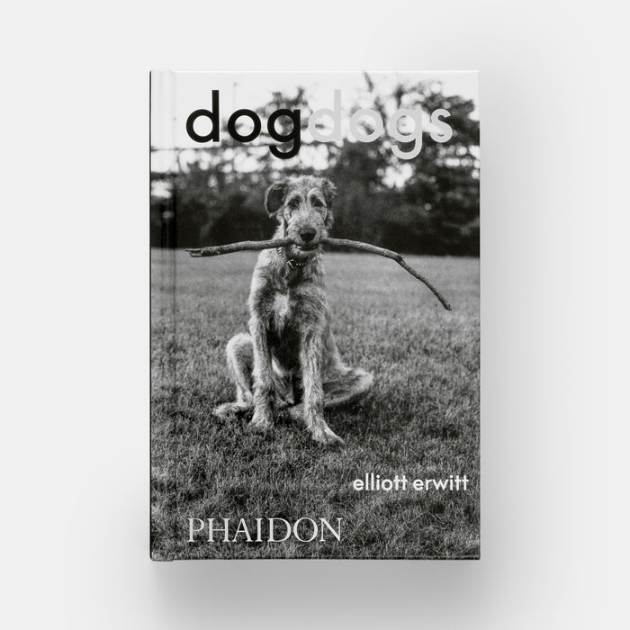 DogDogs