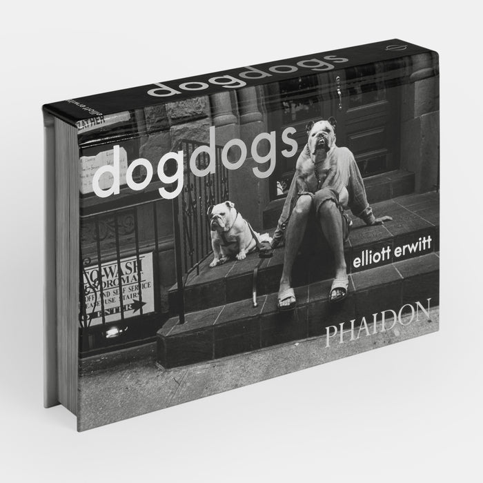DogDogs