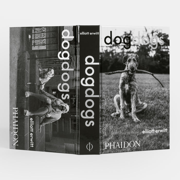 DogDogs