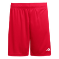 Entrada 26 Shorts (JZ2517) Apparel Adidas