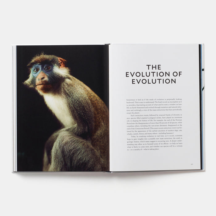 Evolution: A Visual Record