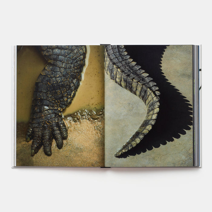 Evolution: A Visual Record