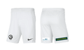 FOOTBALL BRILLIANCE ACADEMY Youth Nike Dri-FIT Park 3 Shorts FOOTBALL BRILLIANCE ACADEMY Nike Club Zone