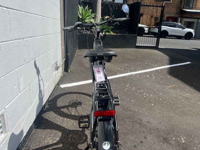 Gepida Berig 2020 - 43cm - used