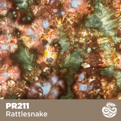 Rattle Snake