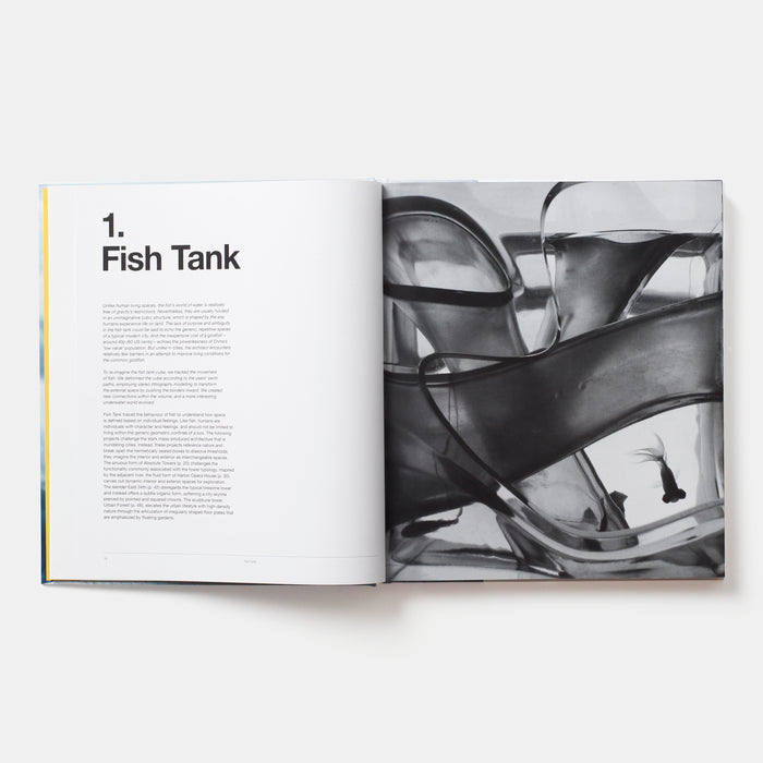 MAD Works: MAD Architects