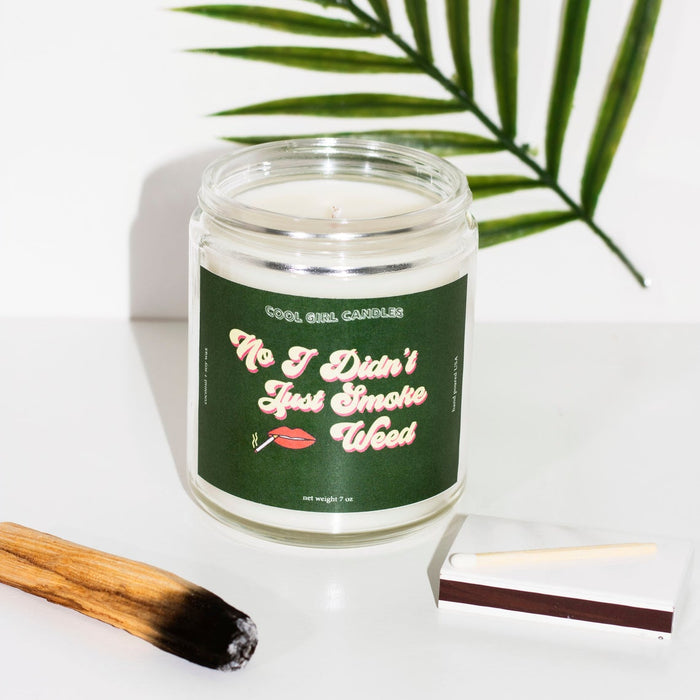 No I Didn't Just Smoke 7oz Candle (Coconut + Hibiscus)