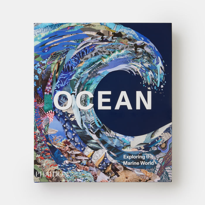 Ocean: Exploring the Marine World