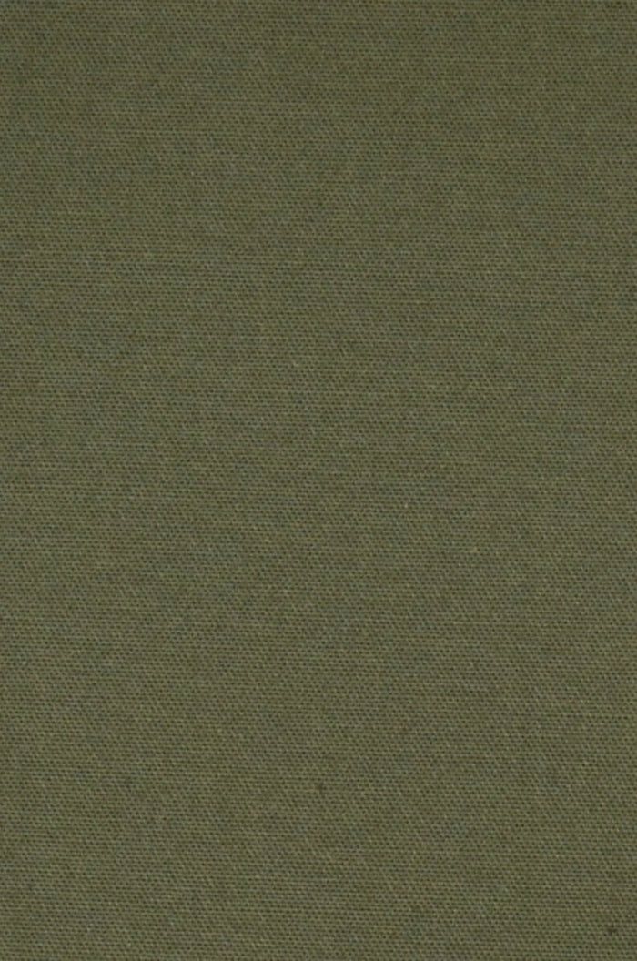 Blutailor