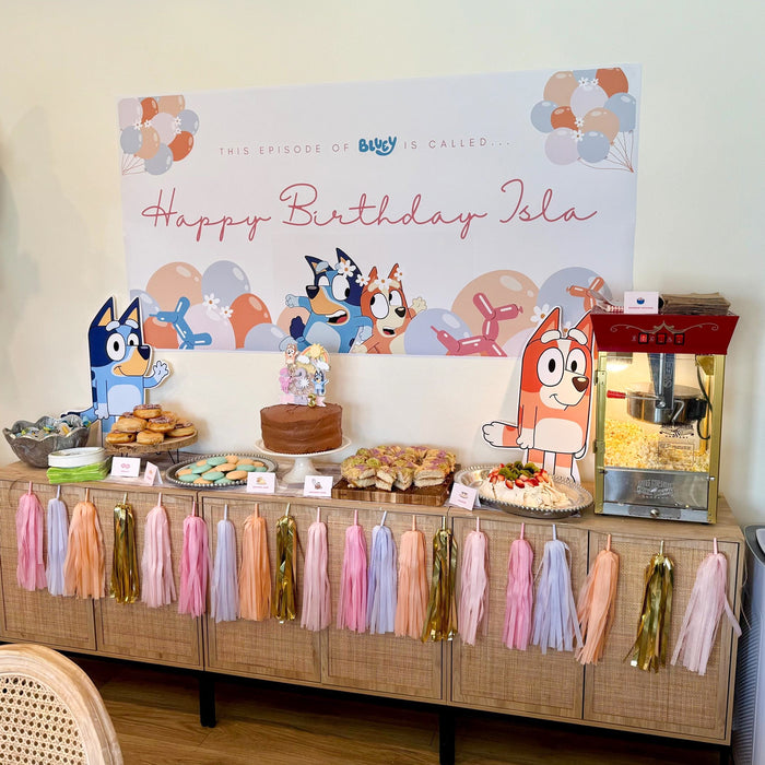 Gold Peach Blush Tassel Garland Bluey Party