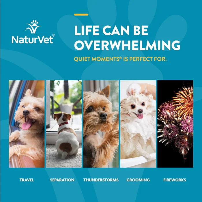 Quiet Moments Calming Aid for dogs- with Mealtonin