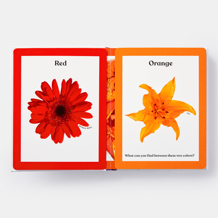Rainbows in Bloom: Discovering Colors with Flowers