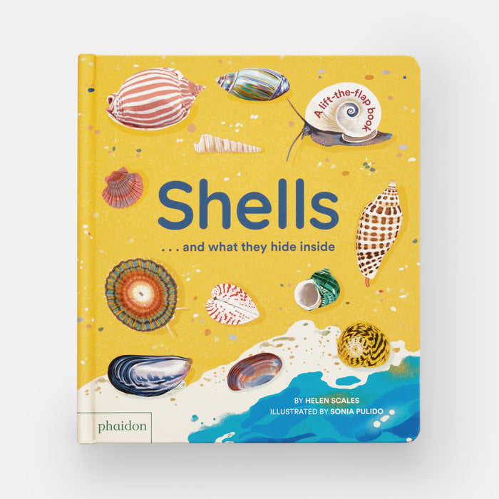 Shells... and what they hide inside: A Lift-the-Flap Adventure