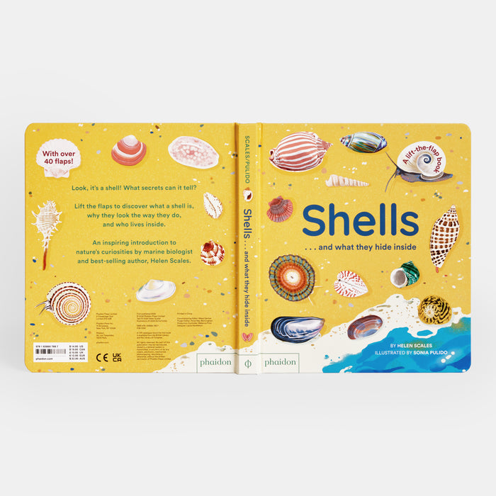 Shells... and what they hide inside: A Lift-the-Flap Adventure