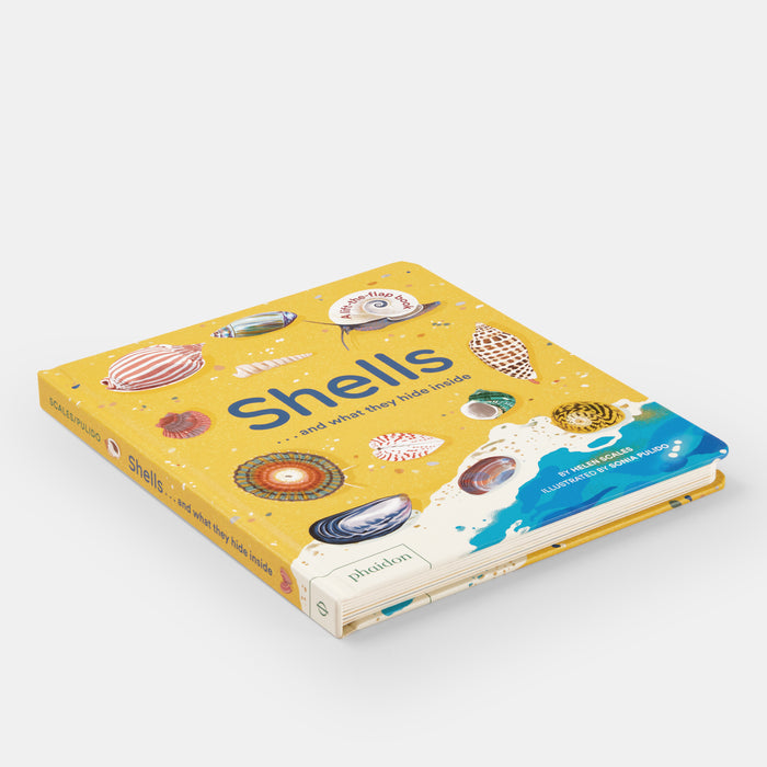 Shells... and what they hide inside: A Lift-the-Flap Adventure