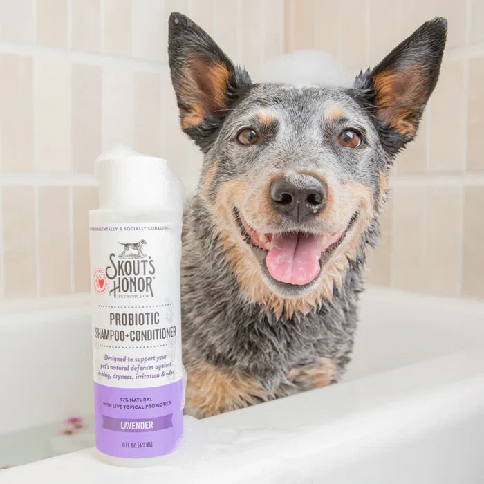 Skout's Honor Lavender Shampoo/Conditioner for Cats & Dogs