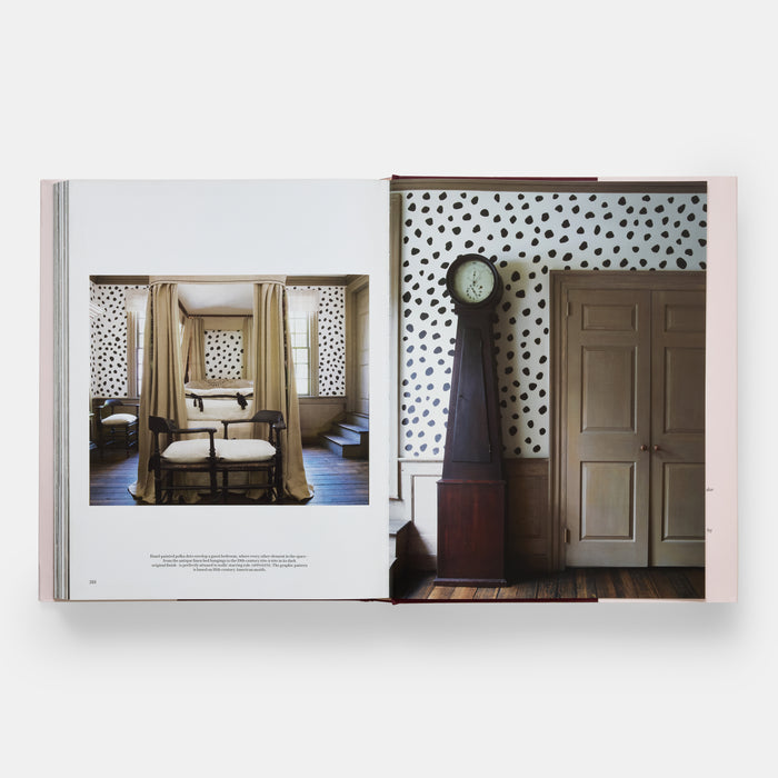 Southern Interiors: A Celebration of Personal Style [A Schumacher Interior Design Book]