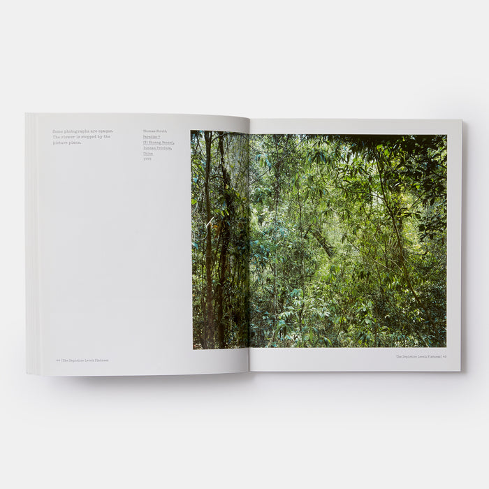 The Nature of Photographs: A Primer