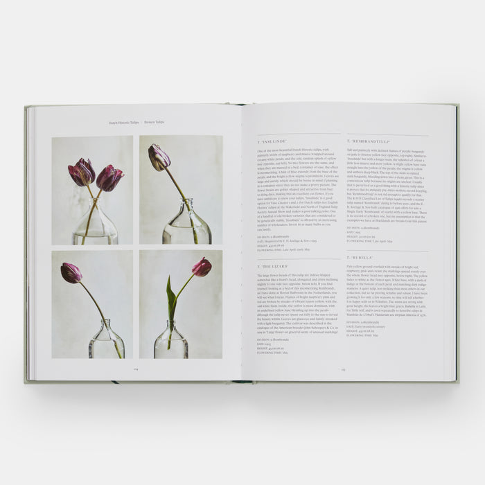 The Tulip Garden: Growing and Collecting Species, Rare and Annual Varieties