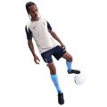 Tottenham Hotspur Strike Men's Nike Dri-FIT Soccer Knit Shorts (HJ6758-424) Apparel Nike