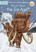 What Was the Ice Age? cover image