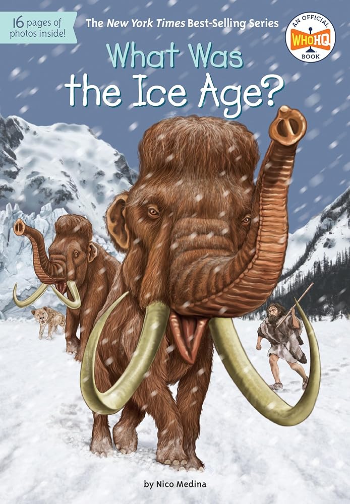 What Was the Ice Age? cover image