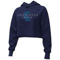 Women's UA Rival Fleece Cropped Hood