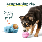 Woof Birthday Pupsicles