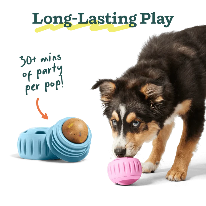 Woof Birthday Pupsicles
