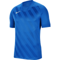 Nike Dri-FIT Challenge III Youth Teamwear Nike