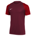 Youth Dri-FIT Academy 2 Jersey (HV8168-677)